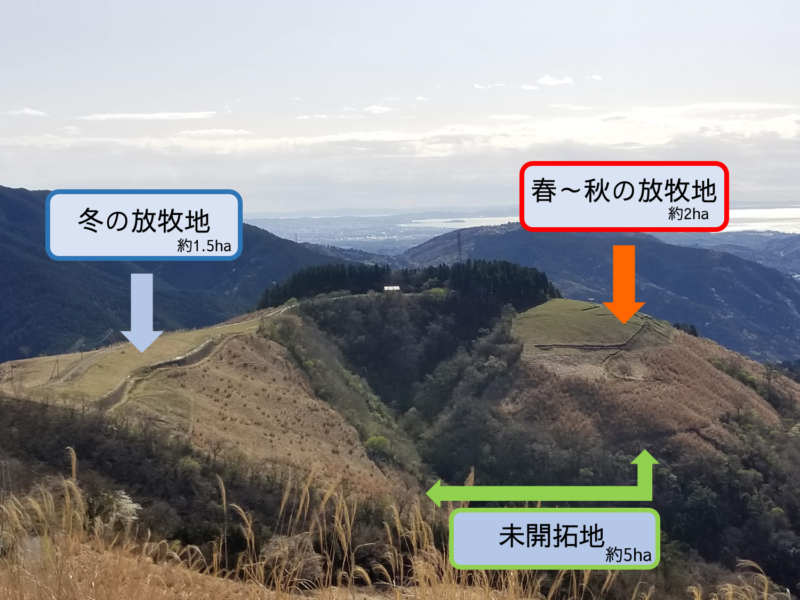 未開墾地